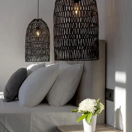 דירה Alexandros Suites, Mykonos Town, With Shared Rooftop Terrace